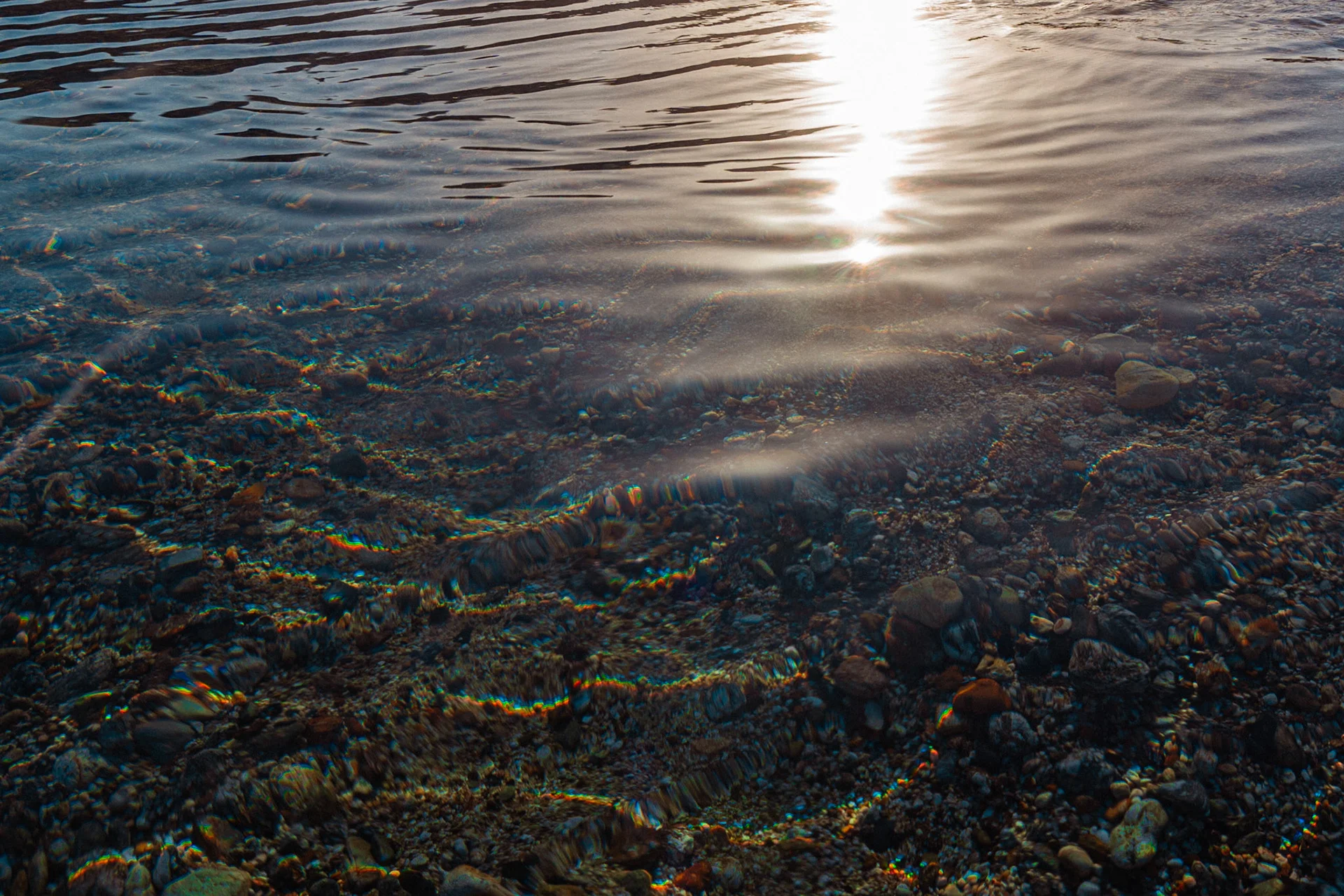 Island Life image 11