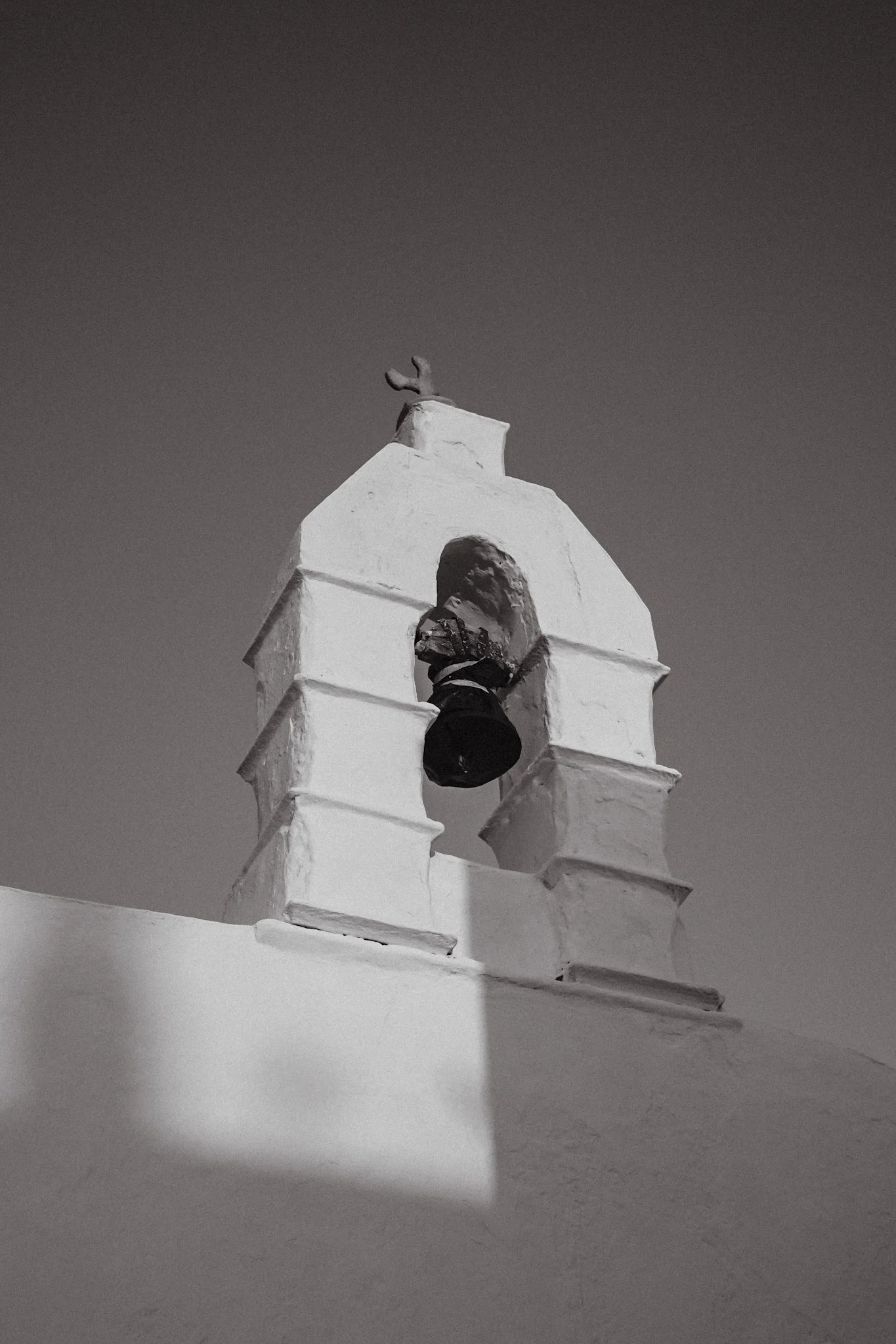 Island Life image 18