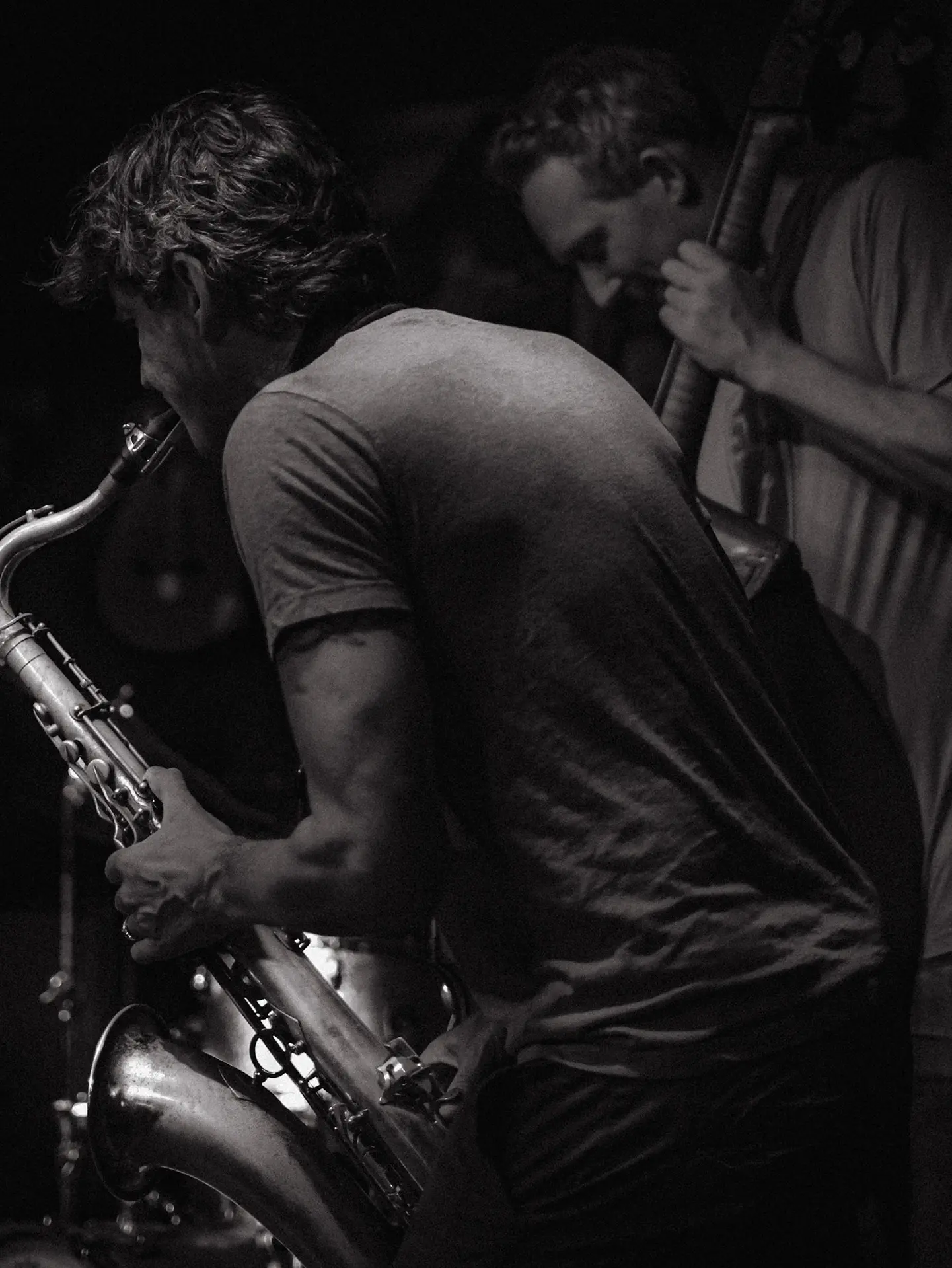 Concert project cover